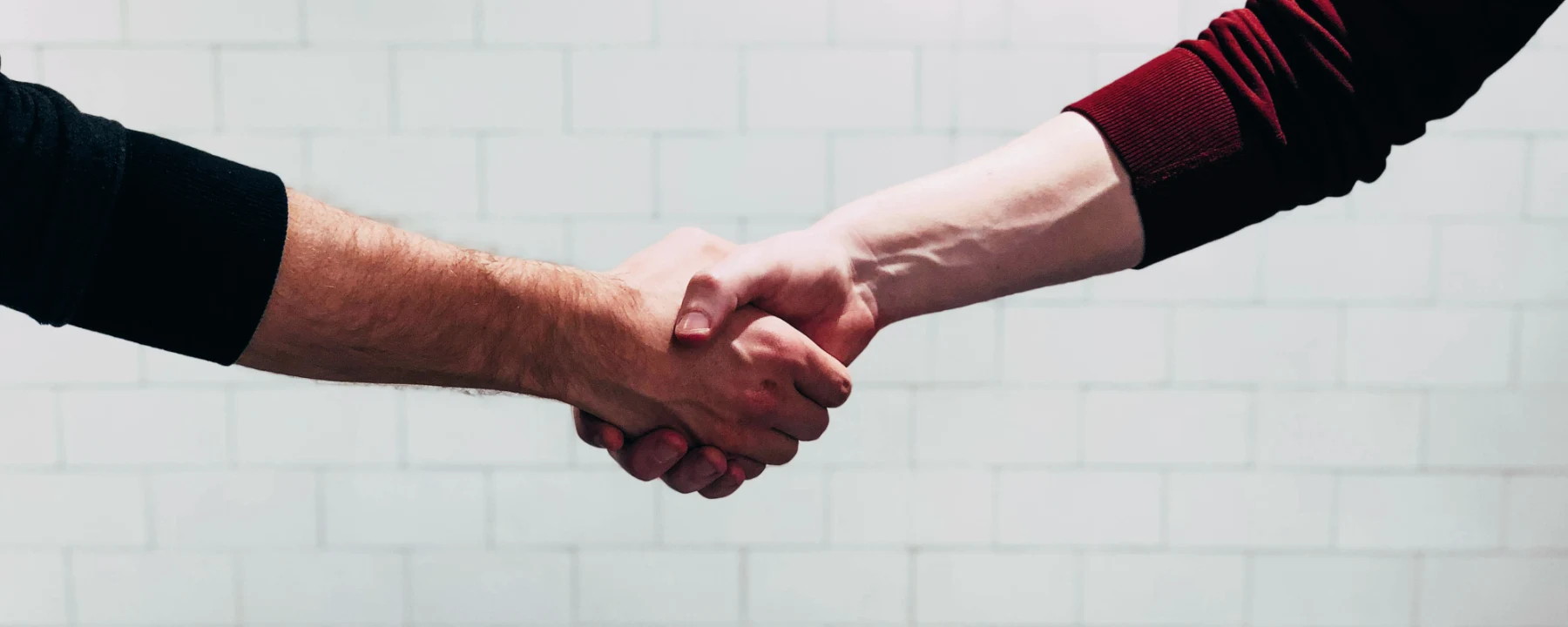 Partneri